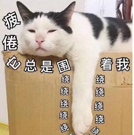 48306